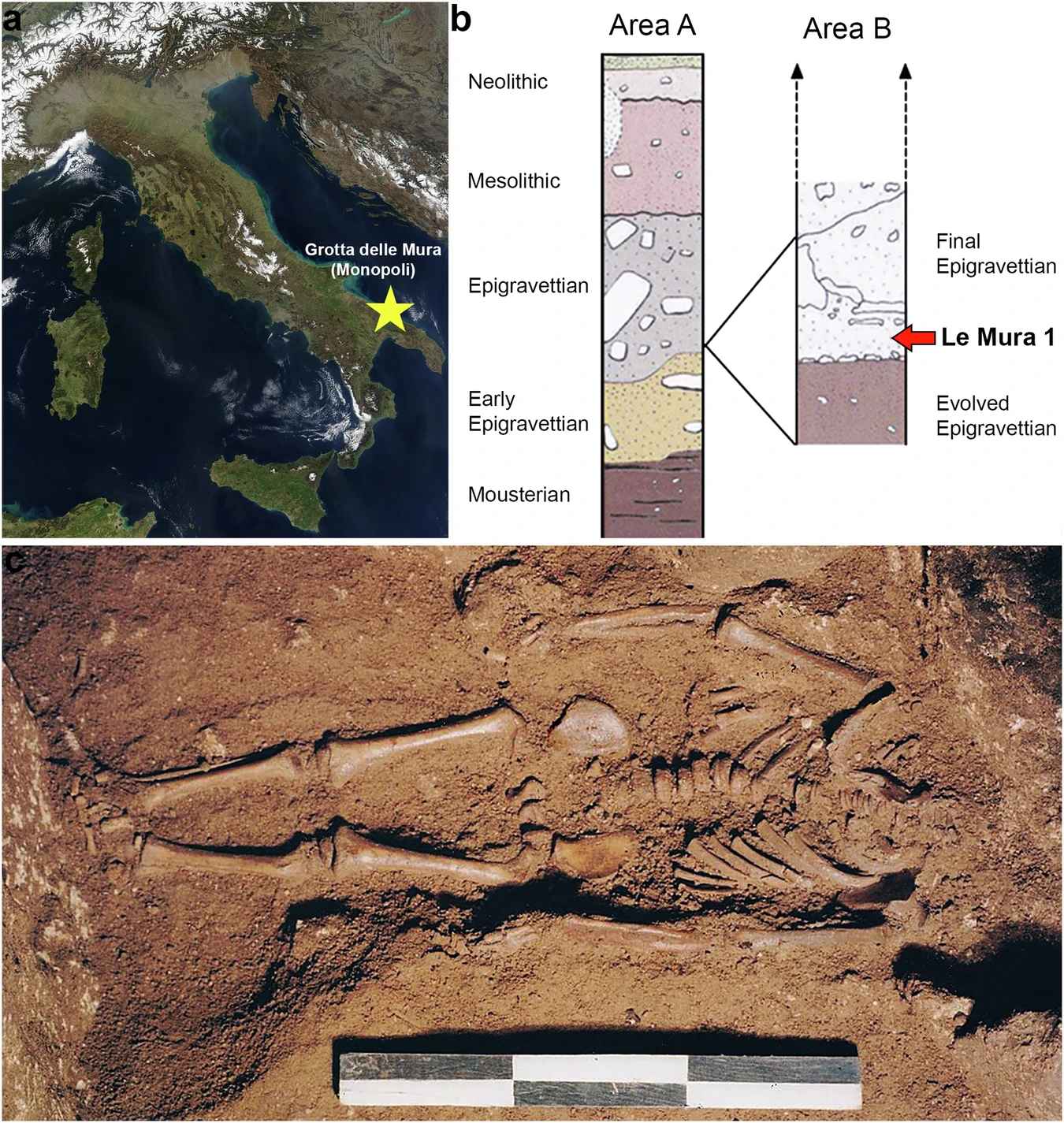 Ricostruita la storia biologica di un bambino di 17.000 anni fa: uno studio multidisciplinare sequenzia il genoma più antico in Italia