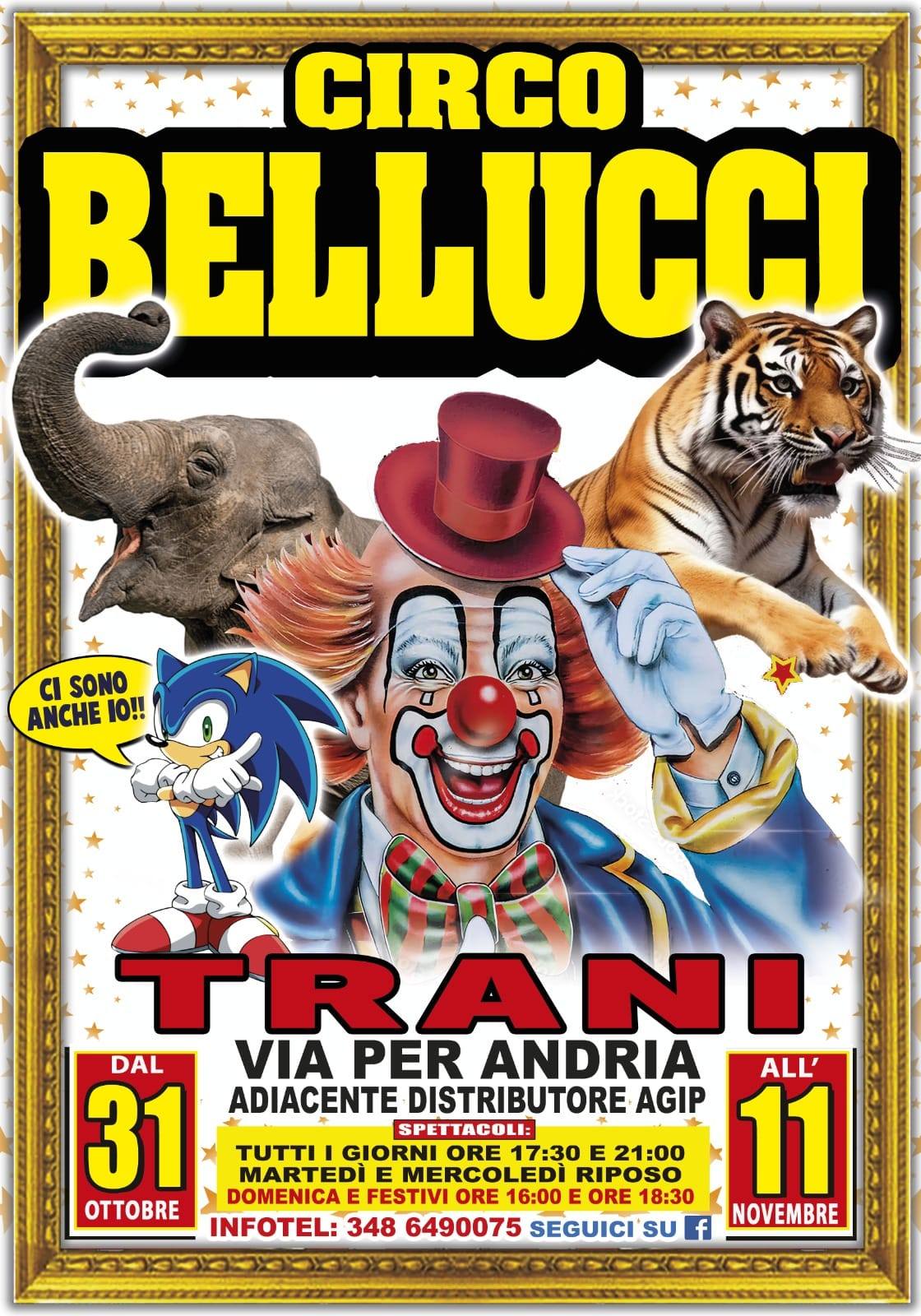 A Trani lo spettacolo d’esordio del nuovo Circo Bellucci