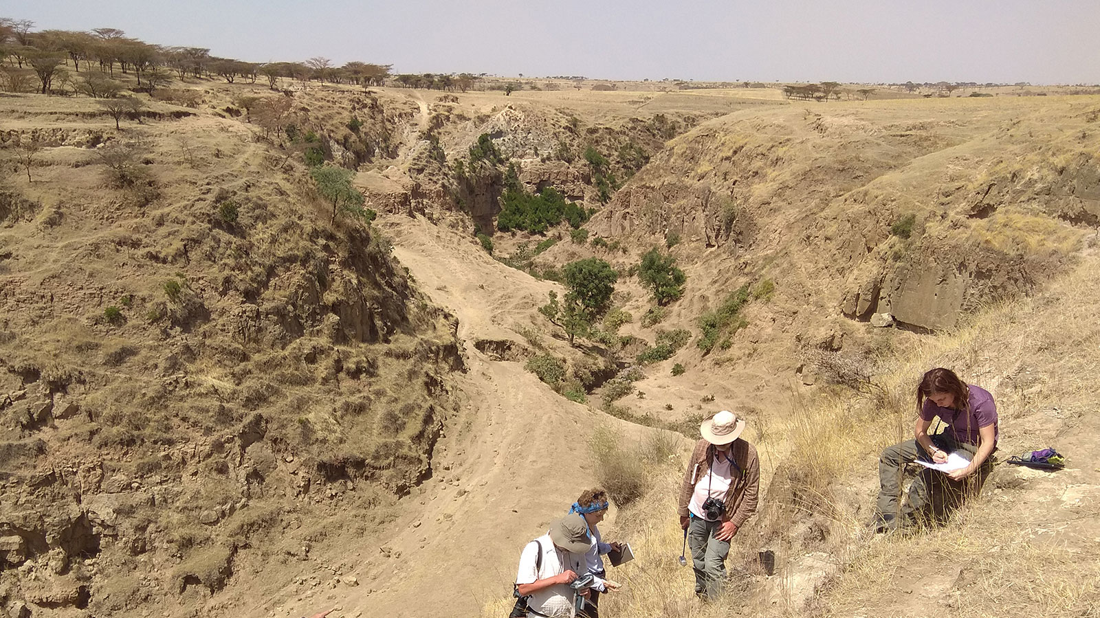 Attività vulcanica intermittente nella Rift Valley: impatti ambientali e ruolo nell’evoluzione degli ominidi